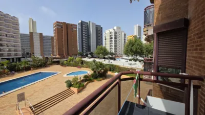 Pis – Benidorm - Vista 5