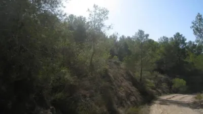 Terreno en venta en Polígono Anton - Vista 5