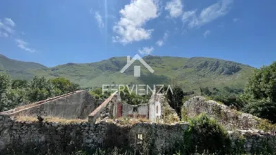 Stone House photo 24