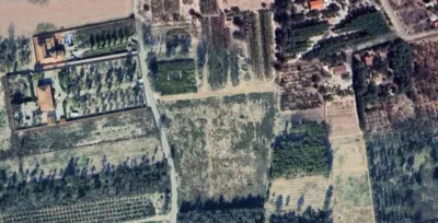 Pis – Elx - Elche - Vista 5