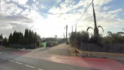 Pis – Elx - Elche - Vista 4