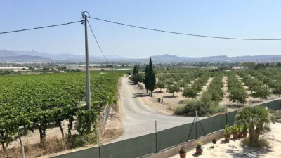 Chalet on Avenida Partida Horna Plg. 39 Parcela 8 photo 30