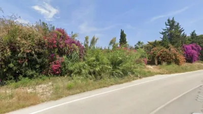 Pis – Elx - Elche - Vista 4