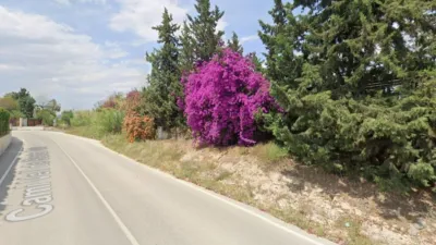 Pis – Elx - Elche - Vista 5