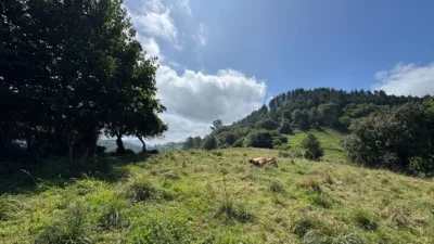 Rustic finca in La Cuenya (Infiesto) photo 16