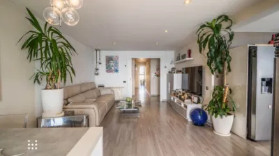 Apartment on Passeig del Marquès de Casa Riera photo 5