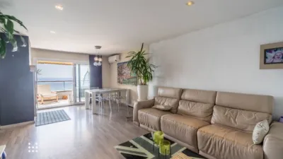 Apartment on Passeig del Marquès de Casa Riera photo 6