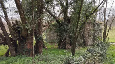 House in A Costela (Nogueira de Ramuín) photo 2
