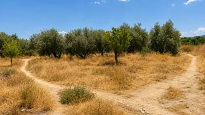 House on Camino de Granadillo photo 27