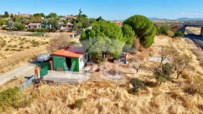 Rustic farm in Garrovillas de Alconétar photo 4