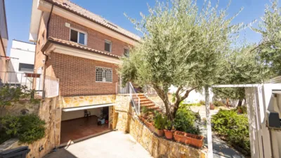 Detached House in Valdebebas-Valdefuentes photo 3