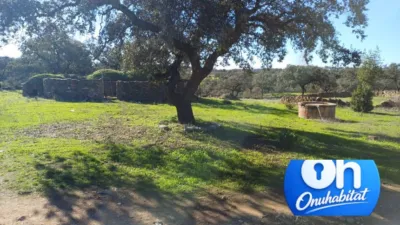 Rustic finca in Las Torres-Guadalupe photo 3