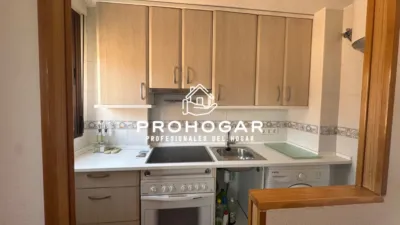 Duplex in Torrelaguna photo 8