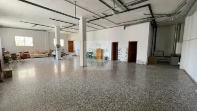 Apartment in Formentera del Segura photo 7