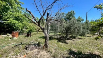 Property in La Romana photo 29