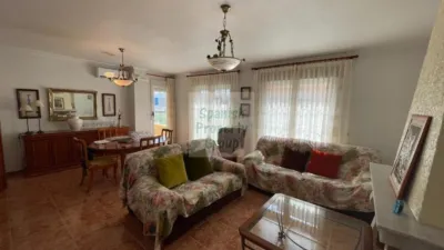 Apartment in Formentera del Segura photo 23
