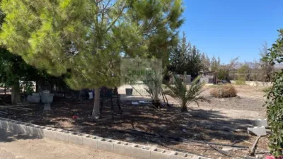 Flat in Crevillent photo 22