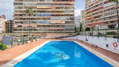 Apartment in Racó de l'Oix photo 3