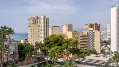 Apartment in Racó de l'Oix photo 27