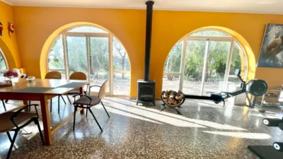 Apartment in Crevillent photo 19