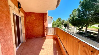 Apartment in Formentera del Segura photo 21