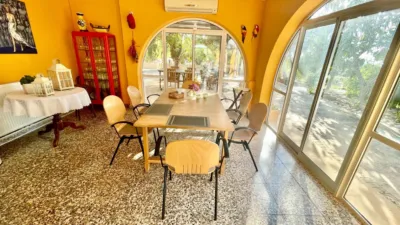 Apartment in Crevillent photo 18