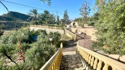 Apartment in Crevillent photo 43