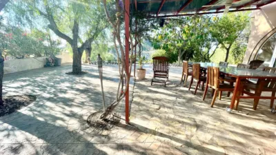 Apartment in Crevillent photo 40