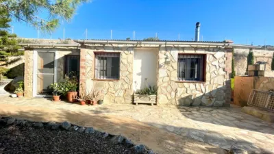 Apartment in Crevillent photo 28