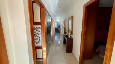 Property in Barranco de San Cayetano photo 35