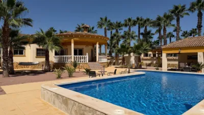 Piso – Catral - Vista 4