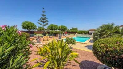 Piso – Catral - Vista 2