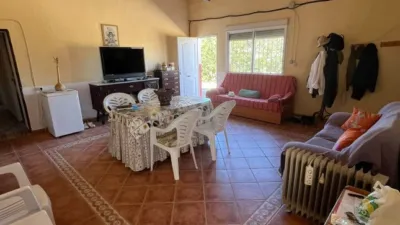 Rustic Finca in Gibraleón photo 19