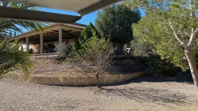 Apartment in Cabezo de Torres photo 43