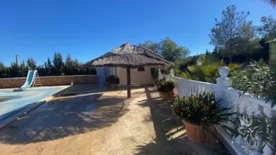 Apartment in Cabezo de Torres photo 44