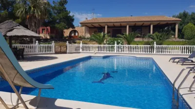 Apartment in Cabezo de Torres photo 2