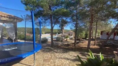 Apartment in Cabezo de Torres photo 35