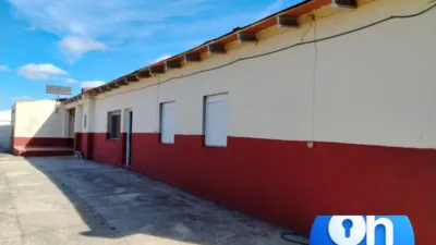 Rustic Finca in Gibraleón photo 5