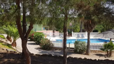 Apartment in Cabezo de Torres photo 3