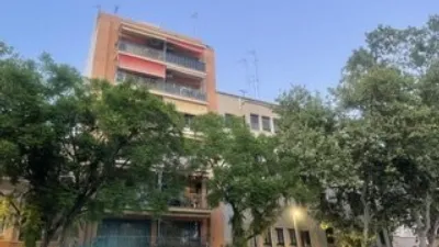 Apartment in Pere Garau photo 10
