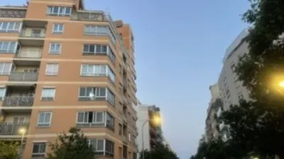 Apartment in Pere Garau photo 6