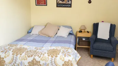Apartment in Alpedrete photo 8