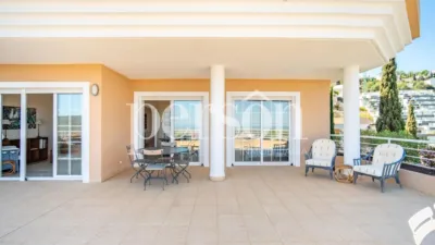Apartment in Barranco Parra photo 5