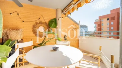 Apartment in Sant Pau photo 4