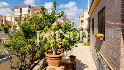 Casa – Torrevieja - Vista 4