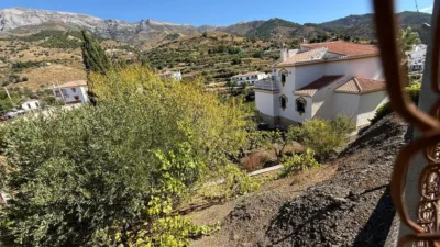 House on Camino del Arroyo de Matanzas street photo 27