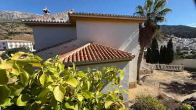 House on Camino del Arroyo de Matanzas street photo 26