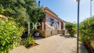 Casa – Torrevieja - Vista 2