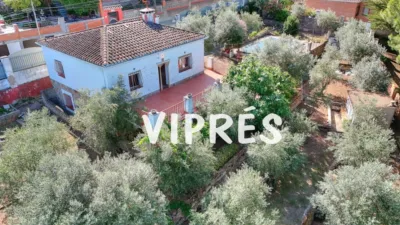 House in Sur photo 3