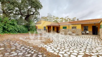 Single-family chalet in Casar de Cáceres photo 107